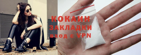 стаф Зерноград