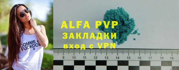 стаф Зерноград
