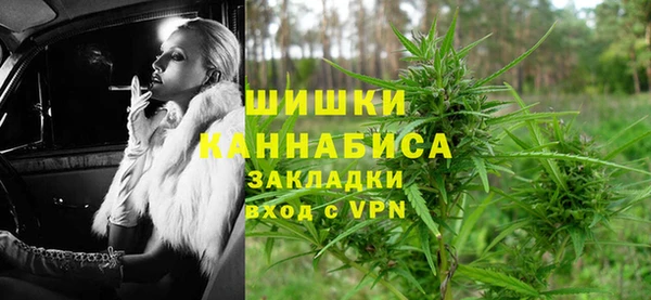 стаф Зерноград