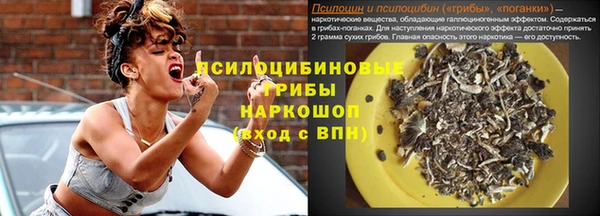 стаф Зерноград