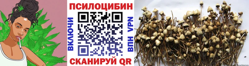 Купить  Зеленоградск  Галлюциногенные грибы мухоморы 